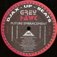 Load image into Gallery viewer, Greyhawk : Future Embracement (2x12")