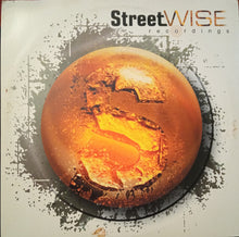 Load image into Gallery viewer, Vigi & Zero : Down To Earth (12")