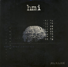 Load image into Gallery viewer, HMI* : Allan Hills 84.001 (12")