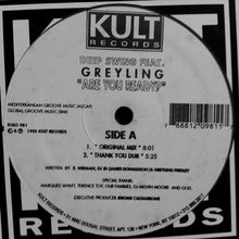 Load image into Gallery viewer, Deep Swing Feat. Greyling* : Are You Ready? (12")
