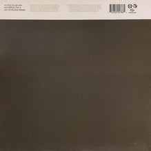 Load image into Gallery viewer, Paul van Dyk Featuring Hemstock & Jennings : Nothing But You (12")