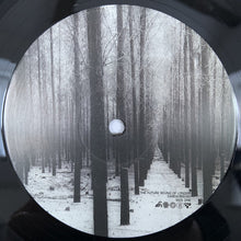 Load image into Gallery viewer, The Future Sound Of London : Cascade 2020 (LP, Album, RP)
