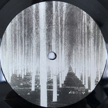 Load image into Gallery viewer, The Future Sound Of London : Cascade 2020 (LP, Album, RP)