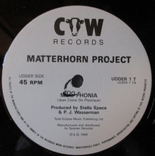 Load image into Gallery viewer, Matterhorn Project : Moo (12")