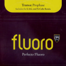 Load image into Gallery viewer, Transa : Prophase (12")