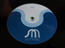 Load image into Gallery viewer, The Billy Paul Project : Addicted To You (12")