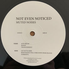 Load image into Gallery viewer, not even noticed : Muted Noises (12")