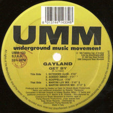 Load image into Gallery viewer, Gayland : Get By (12")