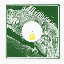 Load image into Gallery viewer, Feel Free Hi Fi, Equiknoxx* : Equiknoxx Meets Feel Free Hi Fi (12")