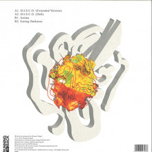 Load image into Gallery viewer, Roman Flügel : Anima EP (12", EP)