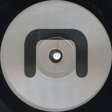 Load image into Gallery viewer, Lex : Ascot (12")