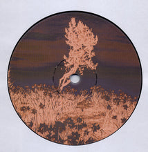 Load image into Gallery viewer, Boulderhead : Alien Groove Extractor (12", EP)