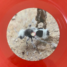 Load image into Gallery viewer, Ditterich von Euler-Donnersperg : Klein : Rot (LP, Album, Ltd, Num, Red)