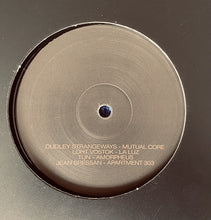 Load image into Gallery viewer, Various : Aesthetic 13 (12")