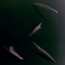 Load image into Gallery viewer, Priori (2) : Little Flower EP (12", EP)