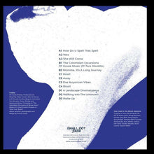 Load image into Gallery viewer, Felipe Gordon : A Landscape Onomatopeya (2x12", Album, Ltd, RP)