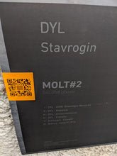 Load image into Gallery viewer, DYL (3) / Stavrogin : Second Phase (12", EP, 180)
