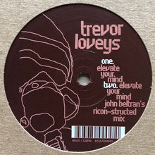 Load image into Gallery viewer, Trevor Loveys : Elevate Your Mind (12")