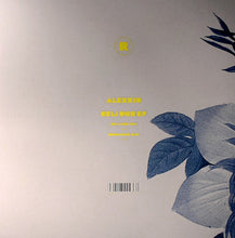 Load image into Gallery viewer, Alexkid : Celi Dub EP (12", EP)