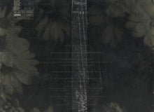 Load image into Gallery viewer, Faithless : Salva Mea (Remixes) (2x12")