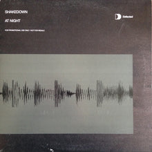 Load image into Gallery viewer, Shakedown : At Night (2x12", Promo)