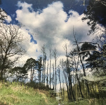 Load image into Gallery viewer, Schneider TM : The 8 Of Space (LP)