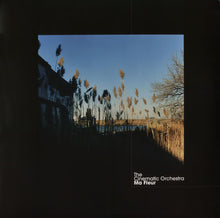 Load image into Gallery viewer, The Cinematic Orchestra : Ma Fleur (2xLP, Album, Ltd, RE, Cle)