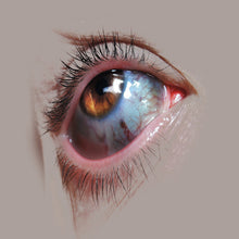 Load image into Gallery viewer, Buffalo Tide : Sleep Dealer (LP, Ltd, Gre)