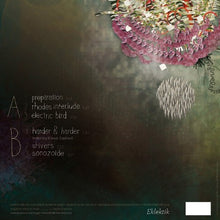 Load image into Gallery viewer, Yoggyone : Preparation EP (12", EP)
