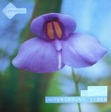 Load image into Gallery viewer, DJ Cam : Underground Vibes (LP, Album)