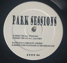 Load image into Gallery viewer, Various : Park Sessions 04 (12")