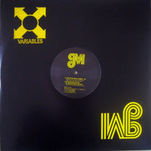 Load image into Gallery viewer, Various : Variables EP (12", EP)
