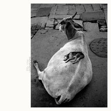 Load image into Gallery viewer, Leo Abrahams & Shahzad Ismaily : Visitations (LP, Album)