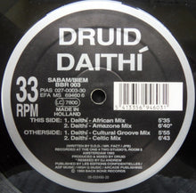 Load image into Gallery viewer, Druid : Daithi (12")