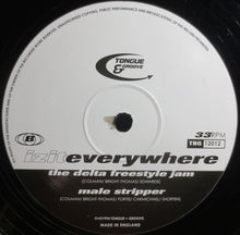 Load image into Gallery viewer, Izit : Everywhere (12")