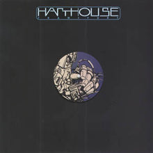 Load image into Gallery viewer, Synesthasia : Reptil (12")