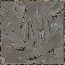 Load image into Gallery viewer, Ryan James Ford : Exshaw (2xLP, Album)