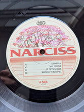 Load image into Gallery viewer, Narciss : Dear Diary EP (12", EP)