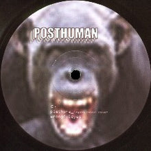 Load image into Gallery viewer, Posthuman : The Uncertainty Of The Monkey (2xLP)