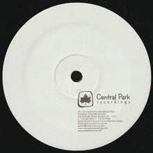 Load image into Gallery viewer, Camiel : Sintra (12")