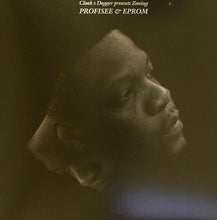 Load image into Gallery viewer, Profisee & Eprom : Zoning (12")