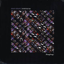 Load image into Gallery viewer, Daniel Stefanik : Stretchcat EP (12", EP)