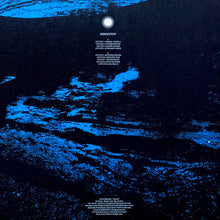 Load image into Gallery viewer, NONEXISTENT (2) : NONEXISTENT (LP, Album)