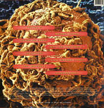 Load image into Gallery viewer, Cwithe : Illegal (3x12", Album)