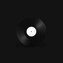 Load image into Gallery viewer, Dustmite (2) : Glowing (12", EP, W/Lbl)