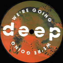 Load image into Gallery viewer, Various : Volume 5 (12", EP)