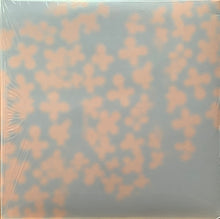 Load image into Gallery viewer, picnic (17) : bonus (2xLP)