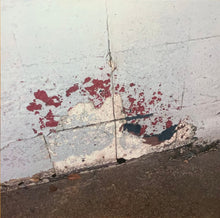 Load image into Gallery viewer, picnic (17) : bonus (2xLP)