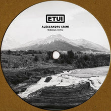 Load image into Gallery viewer, Alessandro Crimi : Wandering (12")