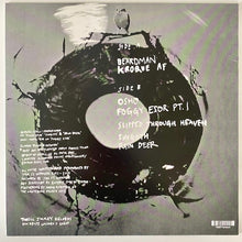 Load image into Gallery viewer, Jan St. Werner : Felder (LP, Album, gre)